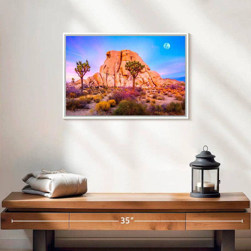Joshua Tree National Park, 19 po x 13 po, Cadre flottant blanc