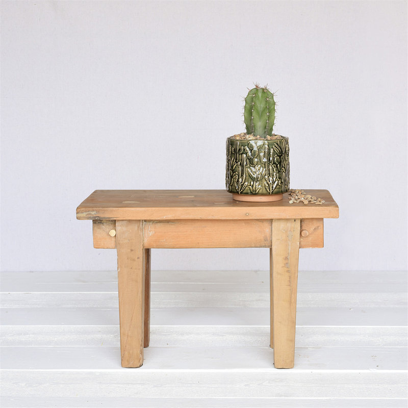 Barba Ceramic Cactus Cachepot, 5" H x 5" W x 5" D