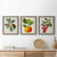 Feuillage antique et fruit VI - ensemble de 3 peintures sur toile encadrées-305686316-305686317