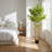 Tall Artificial Bamboo Tree with Plastic Pot