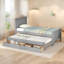 Lit plateforme moderne avec lit gigogne et tiroirs Modern-12109073