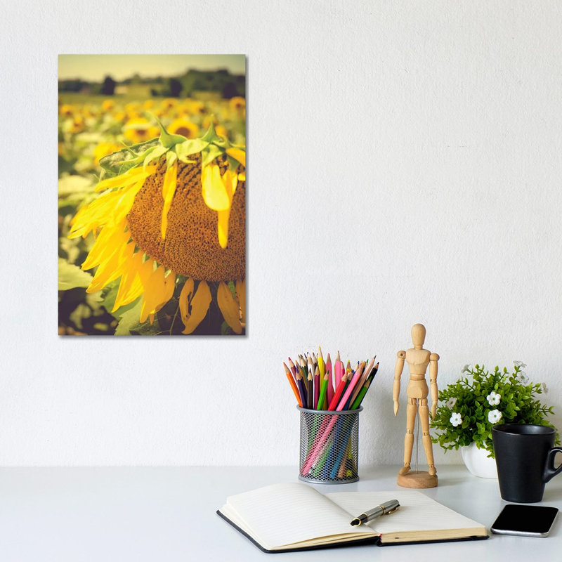 Dreamy Summer Sunflowers I by Olivia Joy StClaire - Wrapped Canvas Print, 20.32 cm H x 30.48 cm W