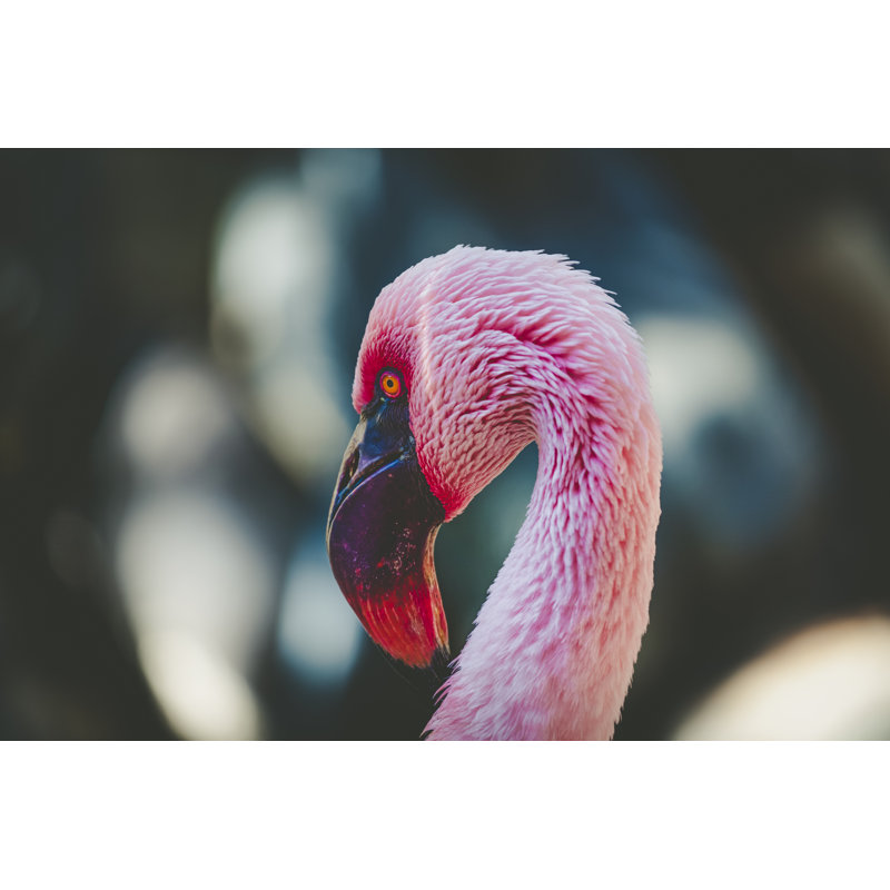 Pink Flamingo - Wrapped Canvas Print, 81cm H x 122cm W