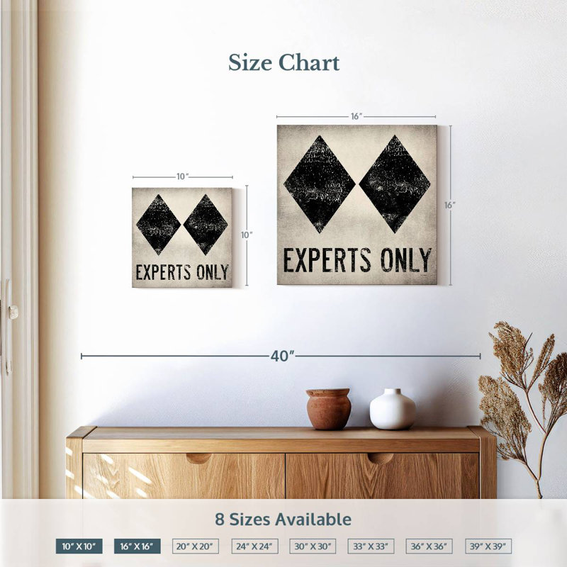 Sirci experts seulement blanc, H 10 po x l 10 po