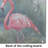 Flamingo Glass Cutting Board Large