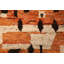 Tapis à motif oriental marocain orange 6 x 8