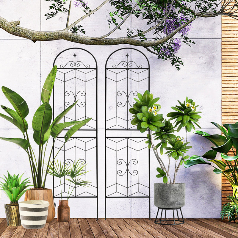 Ensemble de 4 treillis de jardin en métal 71 po x 19,7 po - Support de plante d'extérieur noir antirouille pour rose 4 fleur de concombre 71 po x 19,7 po