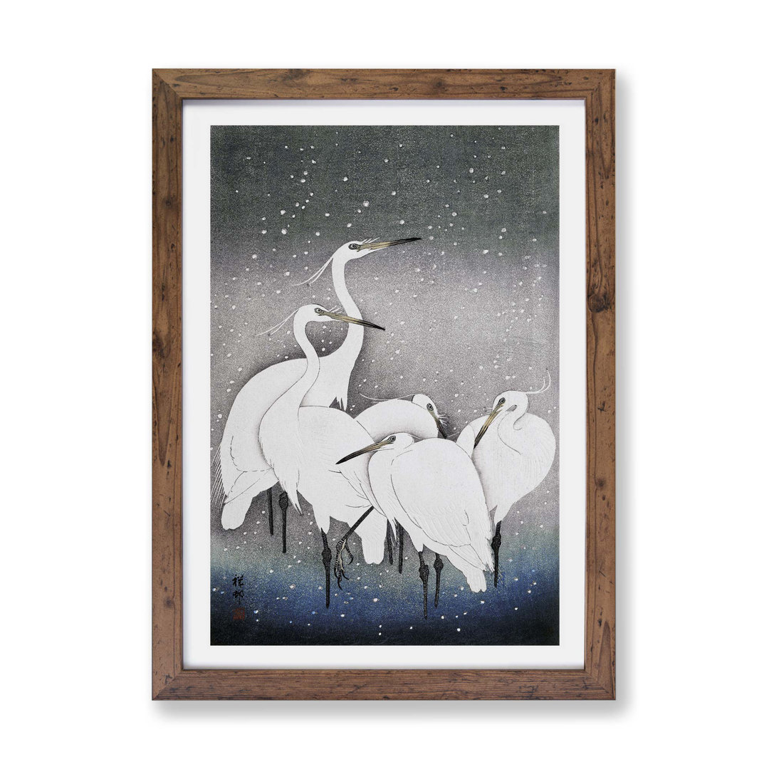 Group of Egrets by Ohara Koson - Framed Print