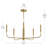 Reines 5-Light Brushed Gold Medium Chandelier-127380278-130106213