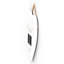 Vivid Squid Wholesale Wall Decor-91758745