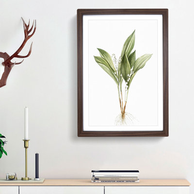 Lily of the Valley by Pierre-Joseph Redoute - Picture Frame Painting Print on MDF