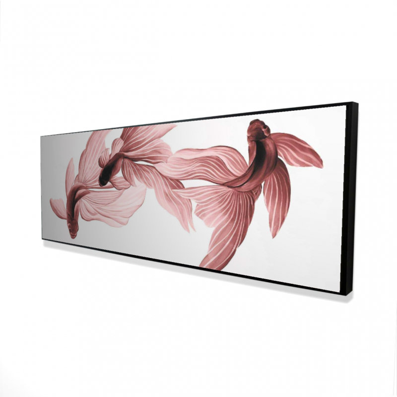" Red Betta Fish "