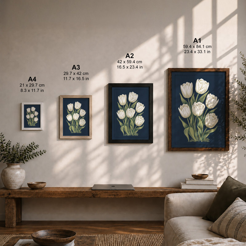 White Tulips On Navy Botanical - Print, Unframed, A2 - 59.4 x 42.0 cm