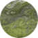 Premium Machine Washable Cerrito AMF599 Green Rug