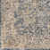 Gorsuch Oriental Indoor Rug