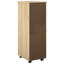 File Cabinet-1600481262
