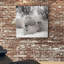 «Hudson Bay Bear», photographie-329774925-329774931