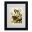 «Carolina Turtledove» par John Audubon - reproduction d'art sur toile-2022149067-2031455277