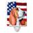 Basset hound orange