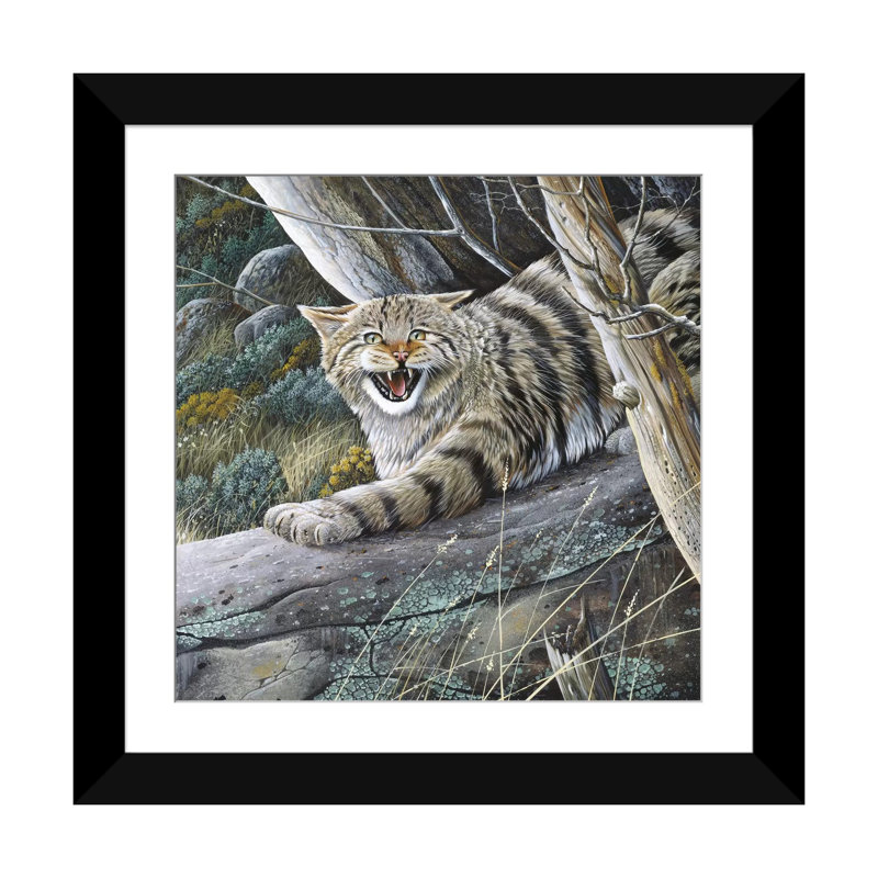 « lynx », impression sur toile, Papier d'art encadré noir, Blanc, H 16 po x l 16 po x P 1 po