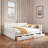 Upholstered Daybed With Usb And 2 Drawers-868749182