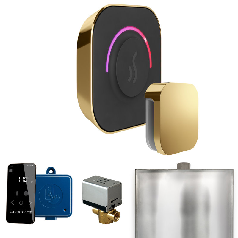 Ensemble de commande de douche à vapeur ButlerTouch avec contrôle TempoTouch et tête de vapeur i, Bronze