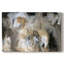 Fontaine de lumière II - Cavas enveloppés de galerie-259353111