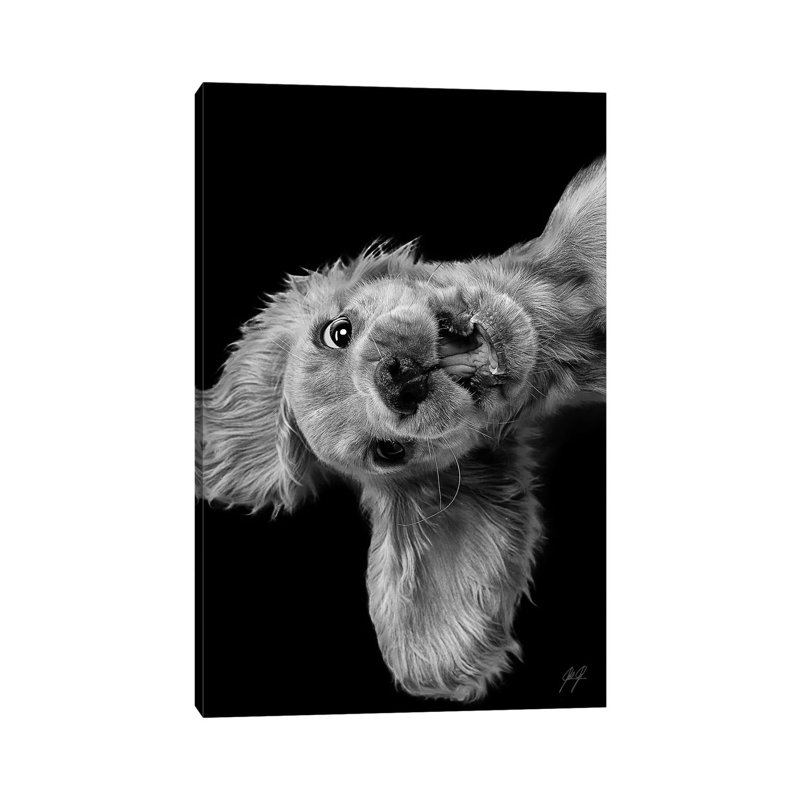 Freaky Friday by Kathrin Federer - Print on Canvas, 66.04 cm H x 45.72 cm W x 1.91 cm D, Wrapped Canvas