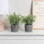 2 pièces de plantes artificielles artificielles pour l'intérieur