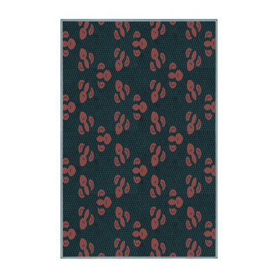 Indoor Rug