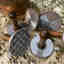 Customer photo 2 of 2