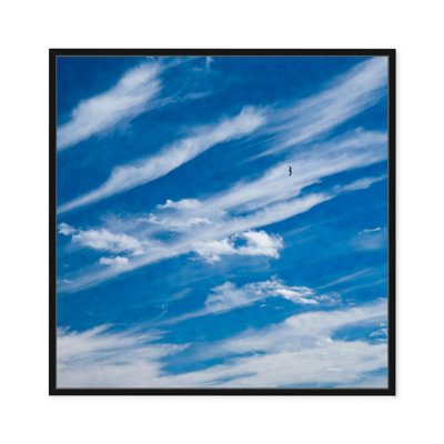 Ciel haut en bleu