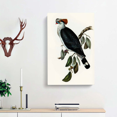 Top-Knot Pigeon by Elizabeth Gould - Wrapped Canvas Painting