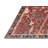 Oriental Indoor Rug-1660758112