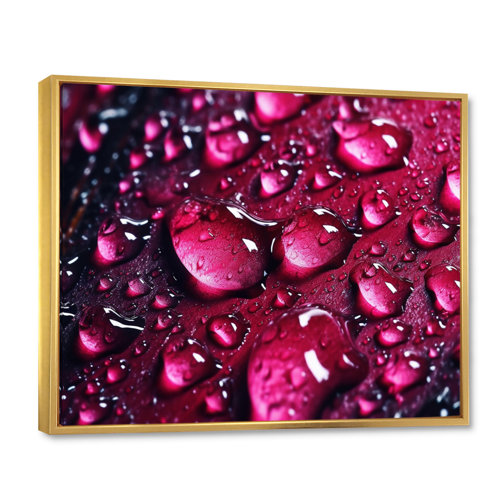 Latitude Run® Red Rose With Raindrops On Black V On Canvas Print | Wayfair