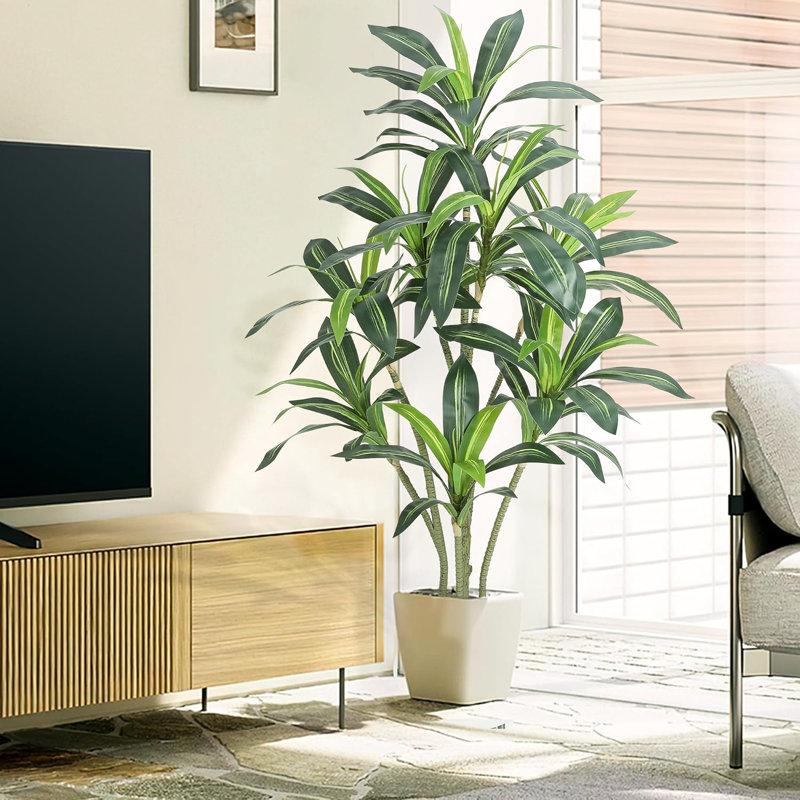 65cm Plant