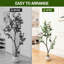 Plant-882282775
