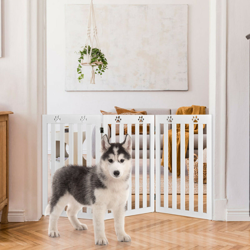 Telles Wood Free Standing Pet Gate, 36" H x 59.5" W x 0.5" D, White