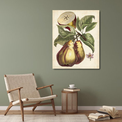 ArtDirect Unknown Gallery Wrapped Canvas Art Titled: Antique Pear Study I