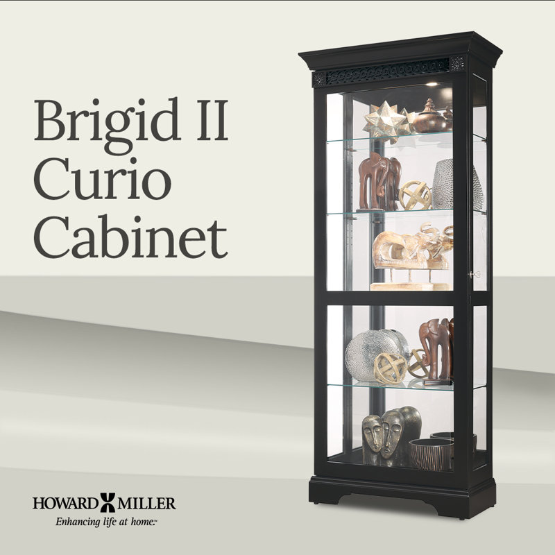 Brigid Lighted Curio Cabinet, Black Satin
