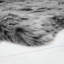 Hadly Solid Colour Shag 60cm X 110cm Area Rug