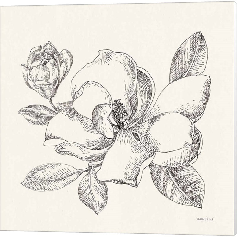 Croquis de fleurs par Danhui Nai, art sur toile (ensemble de 2)