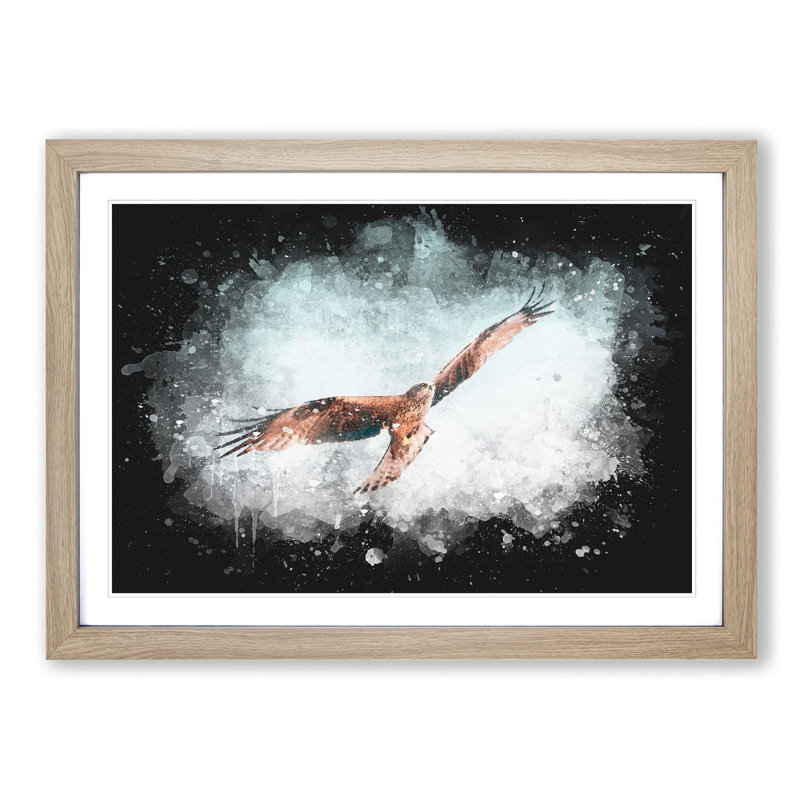 Black Kite Bird - Picture Frame Painting Print, 45cm H x 63cm W x 2cm D, Oak Framed