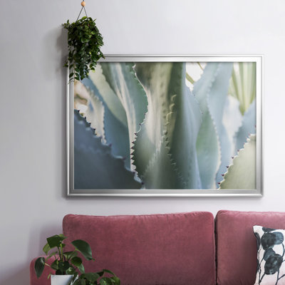" Blue Agave II "