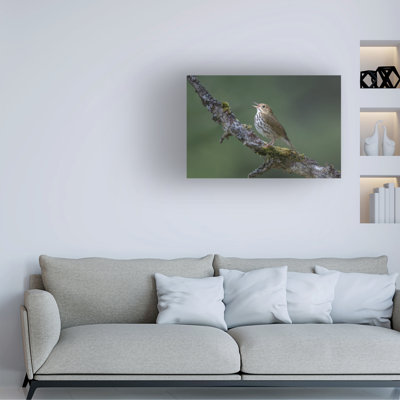 Art sur toile par Greg Barsh