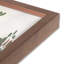 «Rocky Mountain View»-889905723-889905724