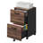 Cambrie 16.5'' Wide 2 -Drawer Mobile File Cabinet-435646494