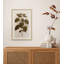 17th Century Leaf Studies II Painting