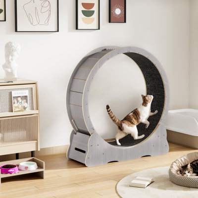 Tapis roulant d'intérieur pour animal de compagnie