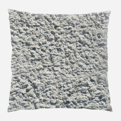 Coussin décoratif